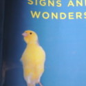 Review of Alix Ohlin’s Signs and Wonders