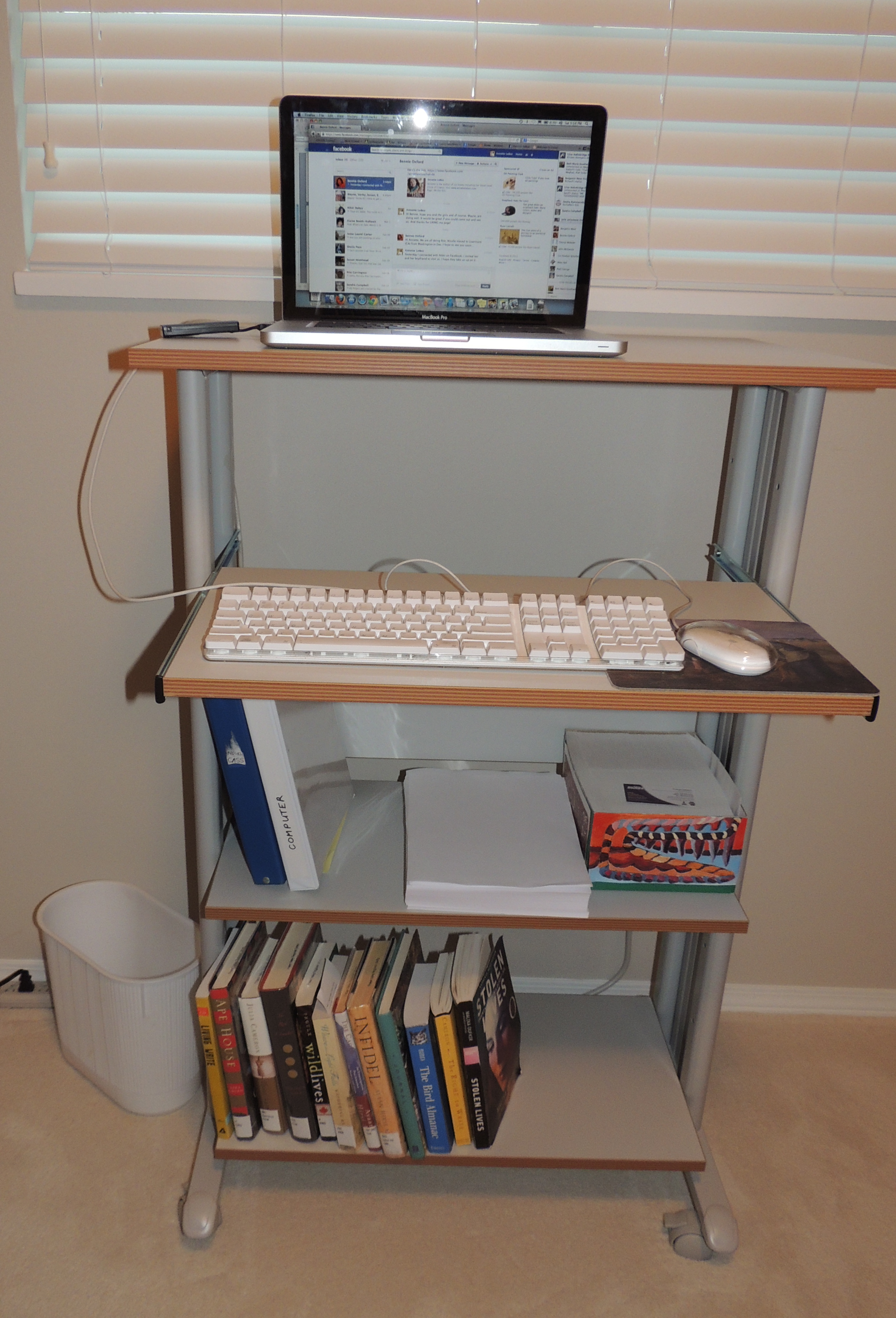 My Stand-up Desk